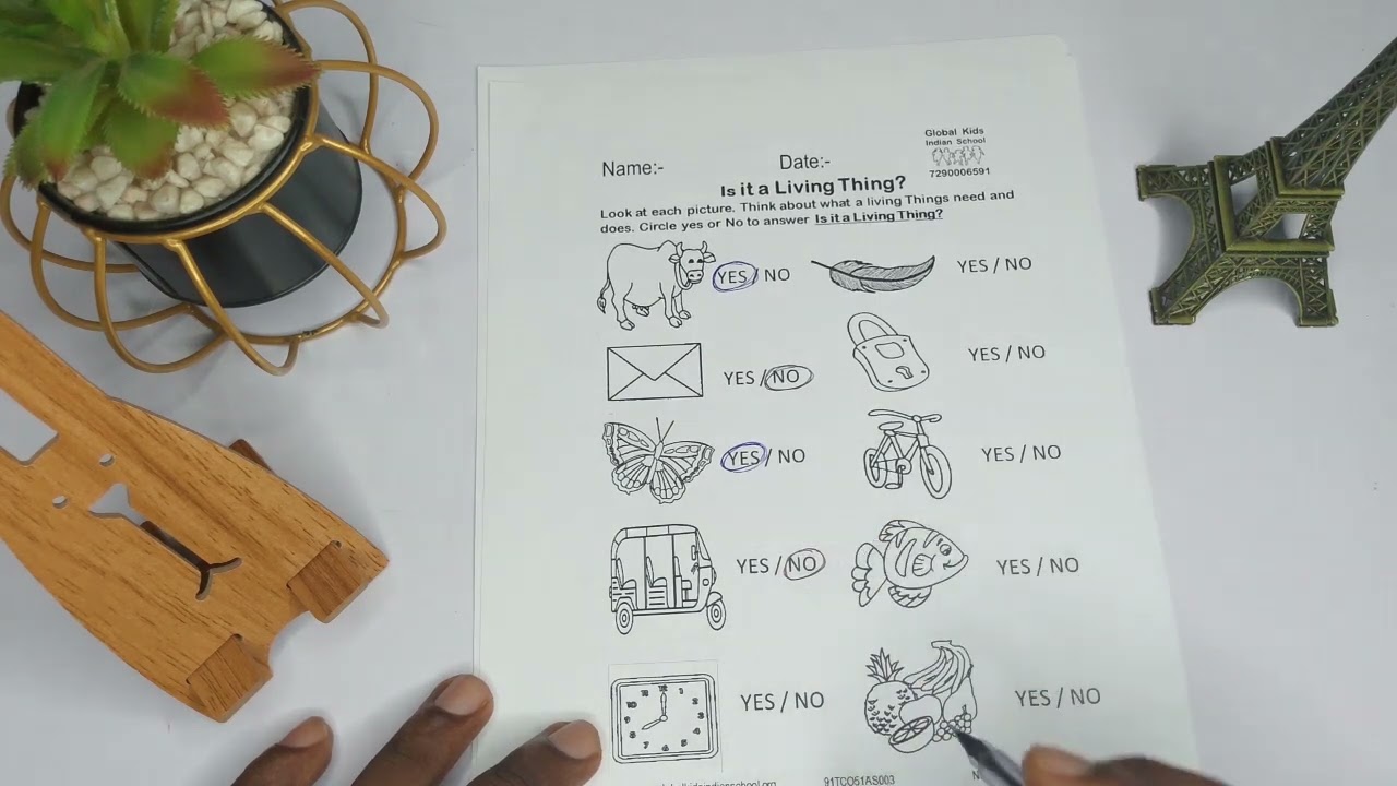 How to Identify living and non living things worksheet for kids | Preschool worksheets | For kids