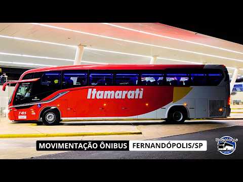 🚌Movimentação Intensa de Ônibus na Rodoviária de Fernandópolis/SP #39 -🚍