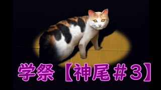 学園祭の王子様【神尾ルート＃3】