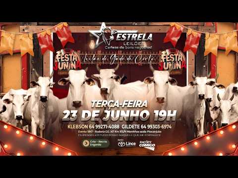 ESTRELA LEILÕES  - AO VIVO - 23/06/2026  -  19H - MORRINHOS - GOIÁS