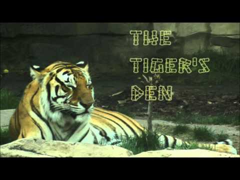March 7th Power Trading Hour with David White on TFNN - 2017