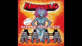 Funkadelic - Old Fool