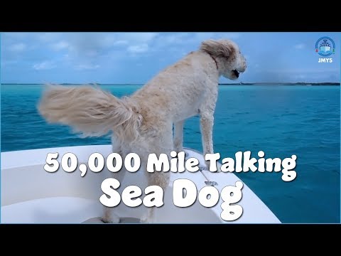 Cruising Conversations Episode 2 – Gulliver’s Travels – Nordhavn 68 MIGRATION