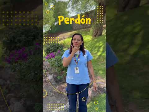 Learn to communicate in Mexican Sign Language (MSL) with people with hearing impairments. 🤟💬