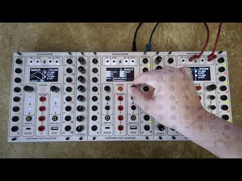 Northern Light Modular - Xenomorpher Model SX0 LW [Serge/Loudest Warning] image 2