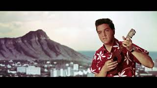 Elvis: The Searcher | Trailer | Pre-Order Now