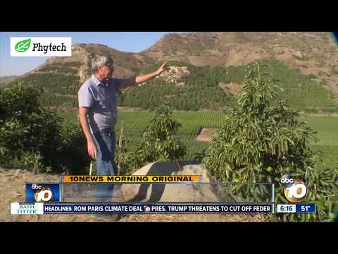 Phytech helps farmers in San Diego fight climate change and save water. See it in the morning news logo