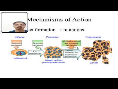 Video presentation: Cancer biology