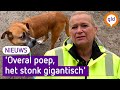 Dierenambulance helpt achtergelaten oorlogsdieren op de grens