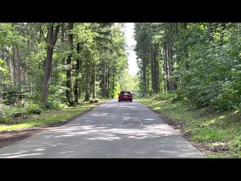 Ford Focus ST Mk4 Milltek ECE Sound 2