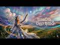 Pawena Wala Athara Sinhala Song DHANA STUDIO