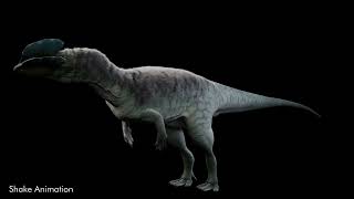 Dilophosaurus Wetherilli video thumbnail