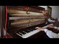 Despacito Peter Bence Piano Cover
