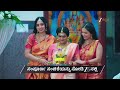Amruthadhaare Ep 916 Preview Mar 31 2026 Zee Kannada