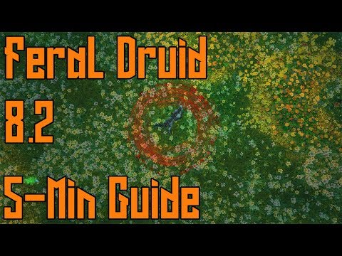 BFA 8.2 Feral Druid Quick Guide