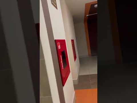 фото папанина ул, 3, брест, брестская область, 3 комн., 86 м² 0