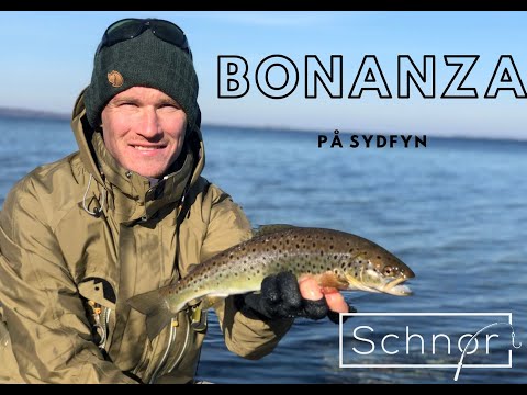HAVØRRED BONANZA // SEATROUT FISHING