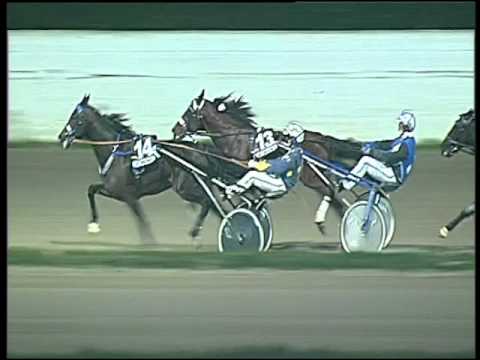 Trotto 29/11/2015 - 7° corsa