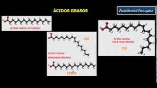 Ácidos Grasos