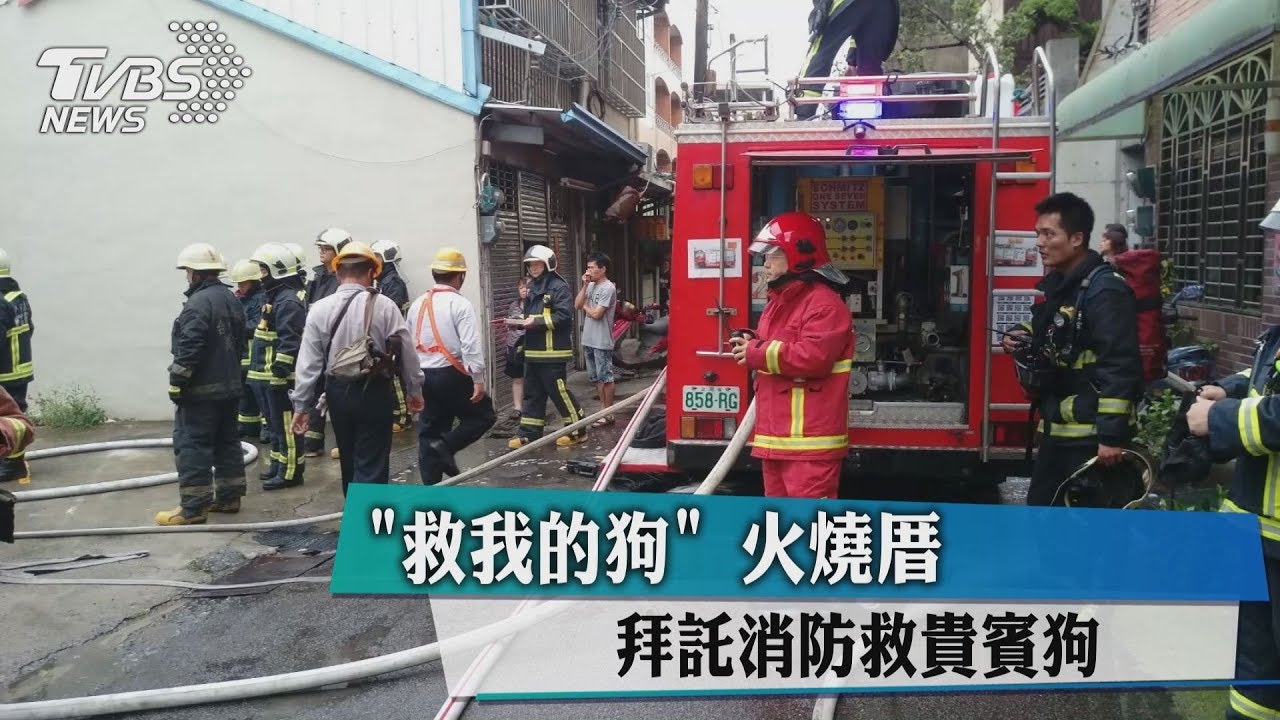 救我的狗! 火燒厝拜託消防救貴賓狗