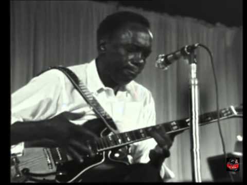 1969 - John Lee Hooker - Boom Boom (Live Video)