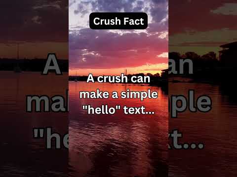 "Heartstrings and Highlights: A Short Video on Crush Chronicles"