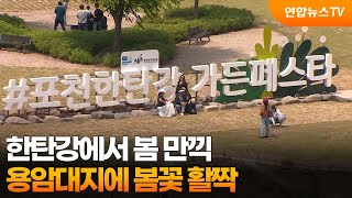 한탄강에서 봄 만끽…용암대지에 봄꽃 활짝 / 연합뉴스TV (YonhapnewsTV)