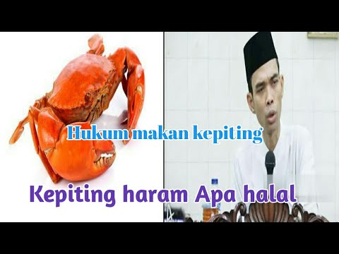 , title : 'Hukum makan kepiting halal apa haram????  Ustad abdul somad /ustad syafiq basalamah.'