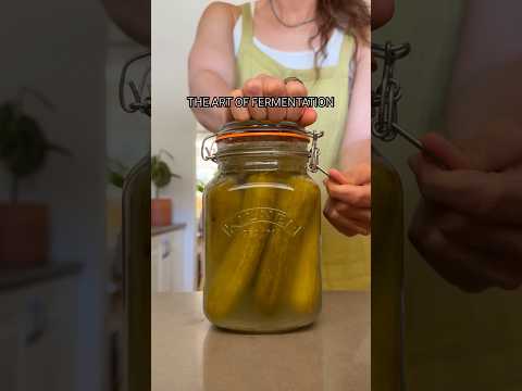 The Art of Fermentation (EP1)