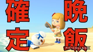 ジョニーの照り焼き作ろうとしたら衝撃の結末が待っていた件【あつまれどうぶつの森】【アースデー】＃７