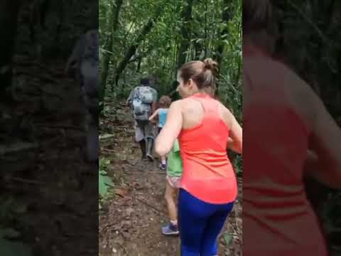 ketemu macan d gunung. #macan #gunung #mountains  #mountain  #traking  #hiking  #sunrise  #sunset