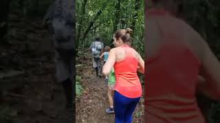 Download lagu ketemu macan d gunung. #macan #gunung #mountains  #mountain  #traking  #hiking  #sunrise  #sunset mp3