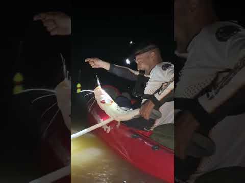 PESCA DE SURUBIES EN UN ARROYO DESDE EL KAYAK - PARANA DE LAS PALMAS