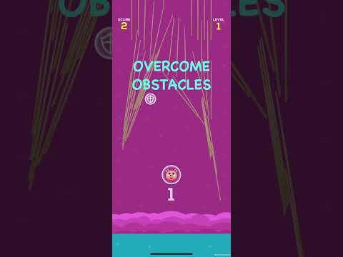 Fly Up - Pet rocket