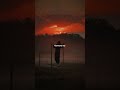 ElyOtto SugarCrash Lyrics Edit Motivation Aesthetic Shorts Lyrics