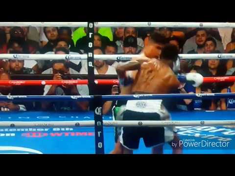 Mikey Garcia vs Robert Easter Jr. Fight Highlights