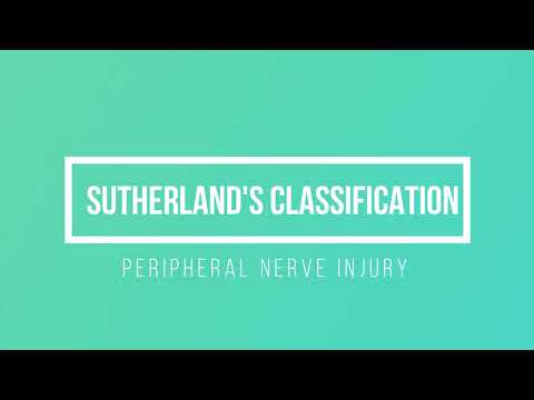 Peripheral Nerve Injury - Anatomy - Sutherland Classification | Peripheral Neuropathy|