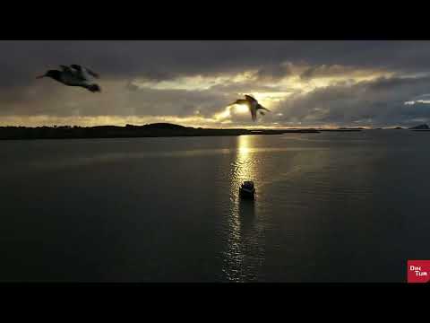 Din Tur fishing destination - Brasøy sjøfiske