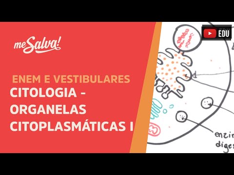 Me Salva! CIT18 - Citologia - Organelas citoplasmáticas 1
