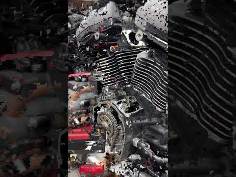 How To Install Plate and Oil Pump #harleydavidsonmotorcycles #motorcycle #harleydavidson #harleys