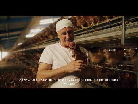 agreks   promotional video