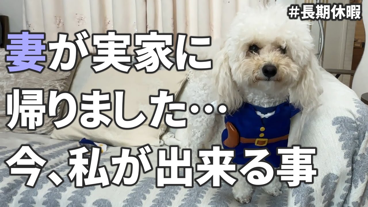 妻が実家に帰ったので、一人でいろいろやりました…