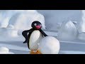 Pingu The Snowball 129