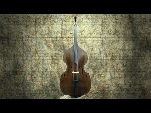 Noah Henson- President (Plano East Orchestra Officer Elections(2019-2020)