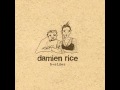 Damien Rice - The Professor & La Fille Danse ...