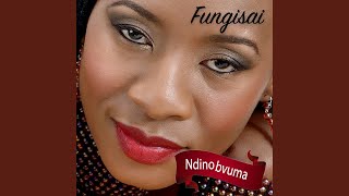 Ndinobvuma Ndinobvuma