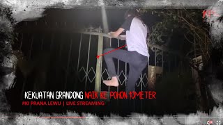 Download lagu GERANDONG ANAK BUAH MAK LAMPIR mp3 Download lagu GERANDONG ANAK BUAH MAK LAMPIR mp3