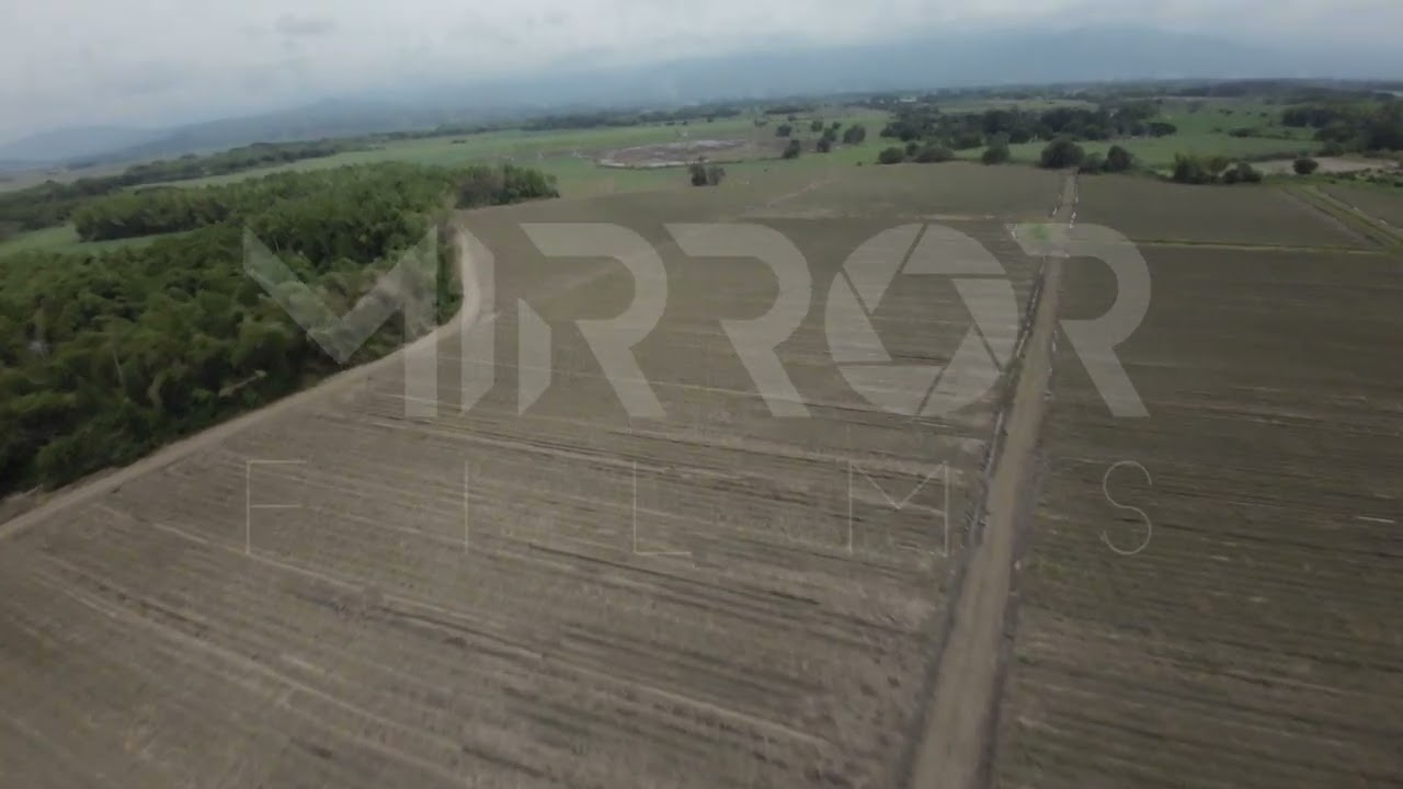 Cultivo de Caña FPV P7