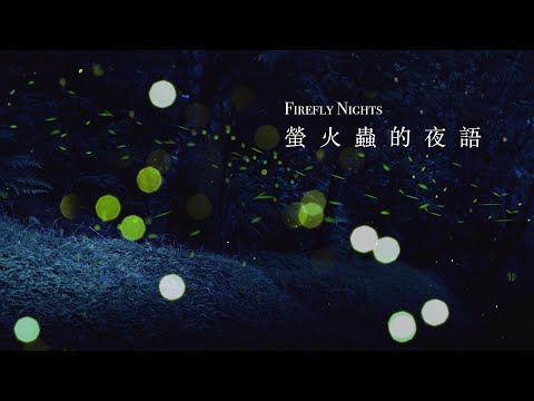 Forest Stars: Firefly Nights | Sleep White Noise. Crickets Chirping 4K ASMR 10 hours