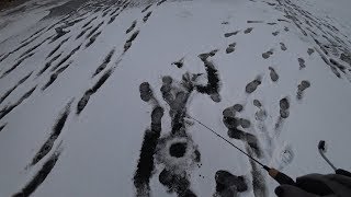 Ловля окуня на ваучер зимой